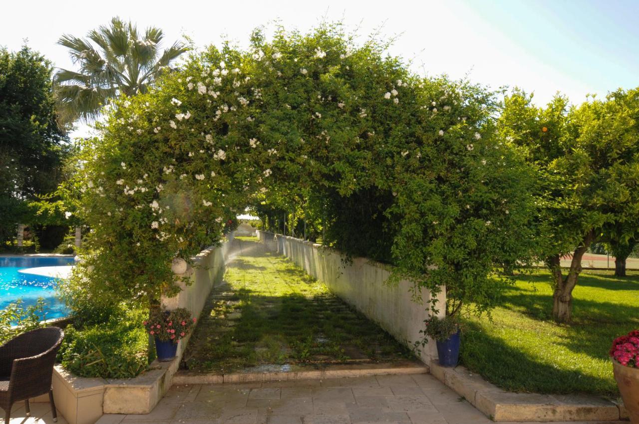 מסאפרה Masseria La Brunetta מראה חיצוני תמונה